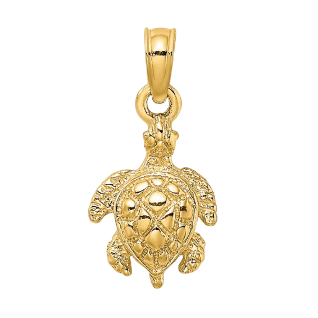10K8123-IMG-1 - FineColorJewels