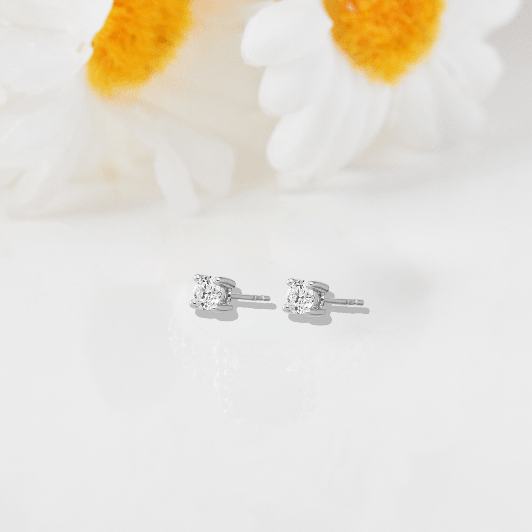 stunning stud earrings