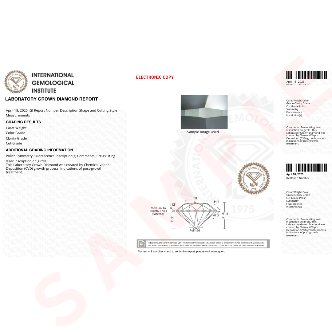 IGI Certified Princess Cut Lab Grown Diamond Solitaire Stud Earrings White Gold Fine Color Jewels