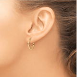 10K Gold Hinged Hoop Earrings