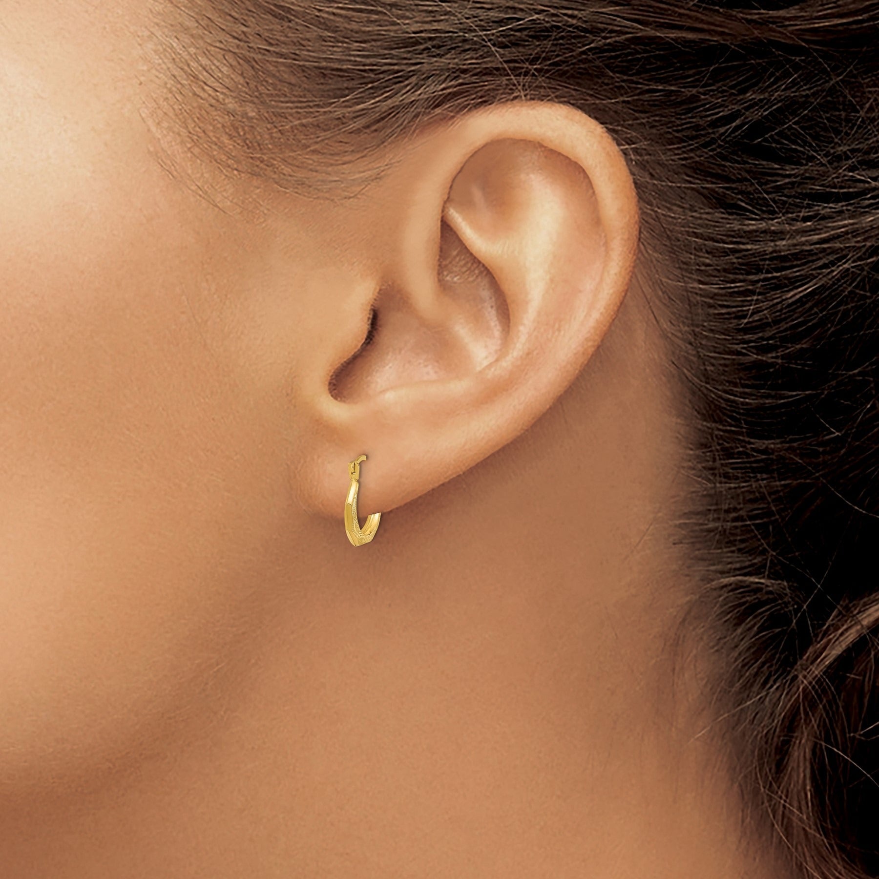 14k Gold Hinged Shrimp Earrings